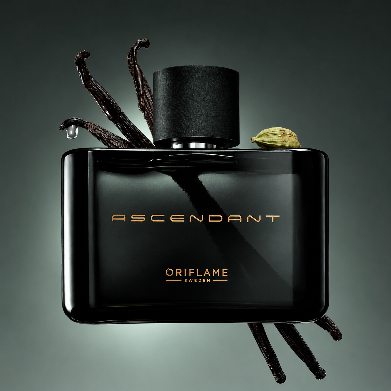 Ascendant - orivn - 3 Ascendant - orivn - 3